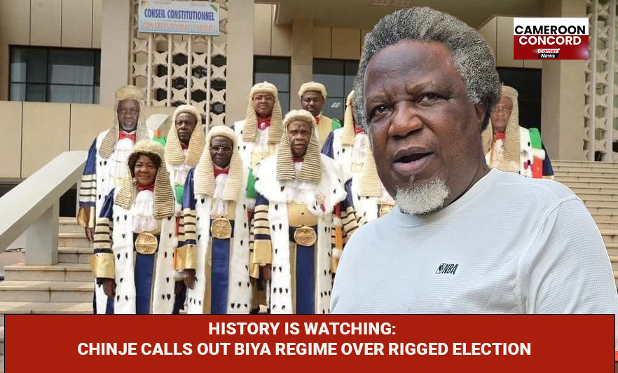 Eric Chinje of Project C issues a historic appeal to Cameroon’s Constitutional Council ahead of the final results.